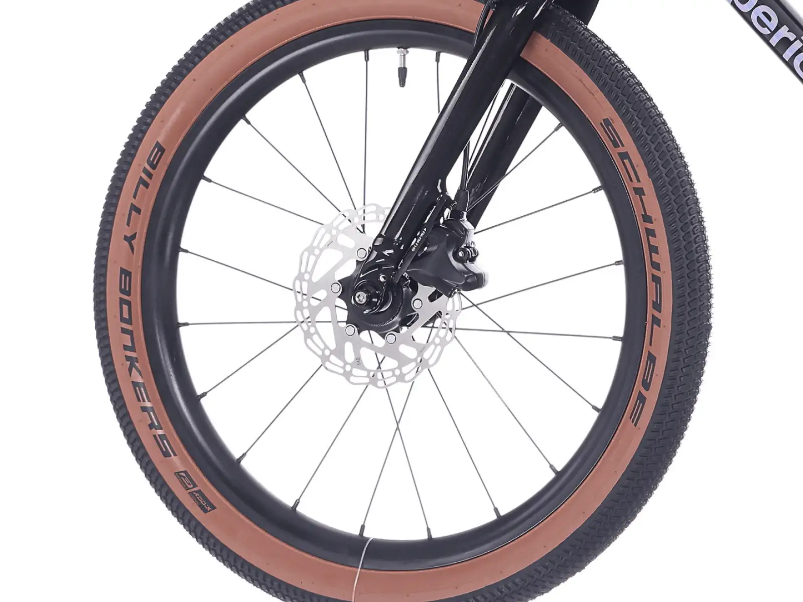 Superior TEAM 20 Kindefahrrad Gloss Brushed Alu / Rainbow Black 9.0"