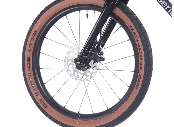 Superior TEAM 20 Kindefahrrad Gloss Brushed Alu / Rainbow Black 9.0"