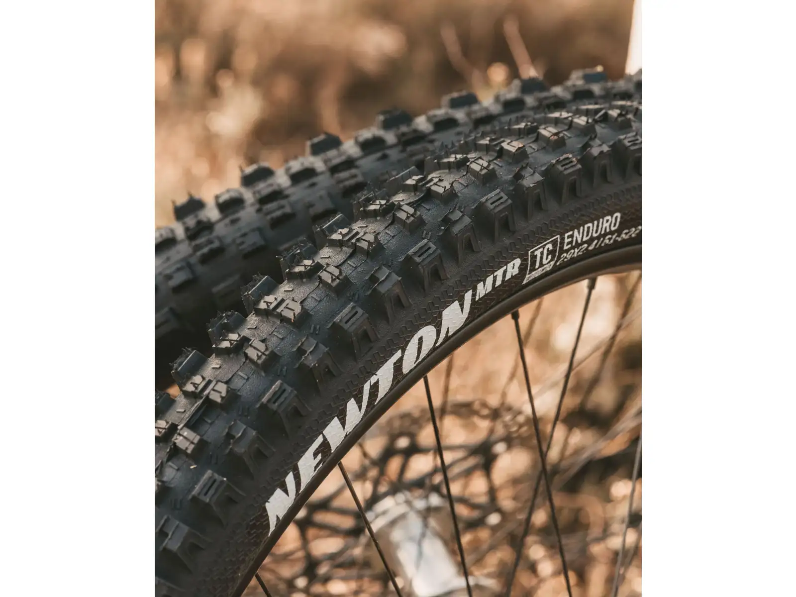 Goodyear Newton MTR Trail Tubeless Komplett 29x2,40" MTB-Reifen mit Kevlar