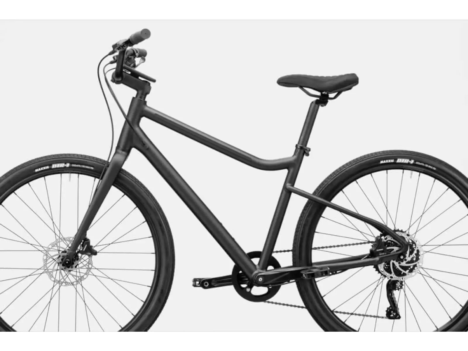 Cannondale Treadwell 2 Ltd RAW Fitnessbike