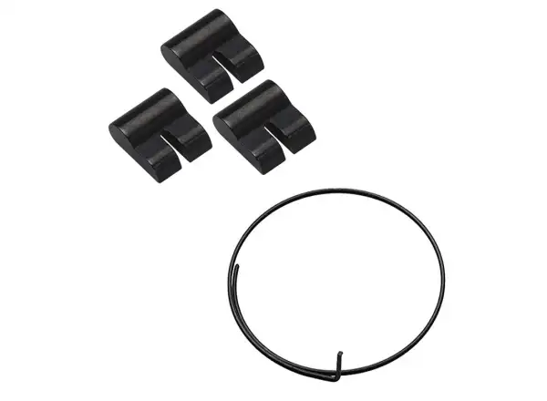 Campagnolo Nusspräger HG (3 Stück) + Feder (für Mutter mit 1 Feder)