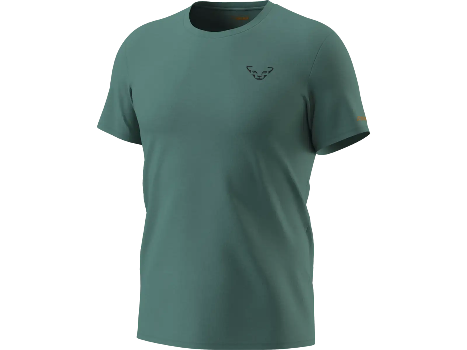 Dynafit 24/7 Graphic Herren T-Shirt Kurzarm Atlantic/Sunrise Trail