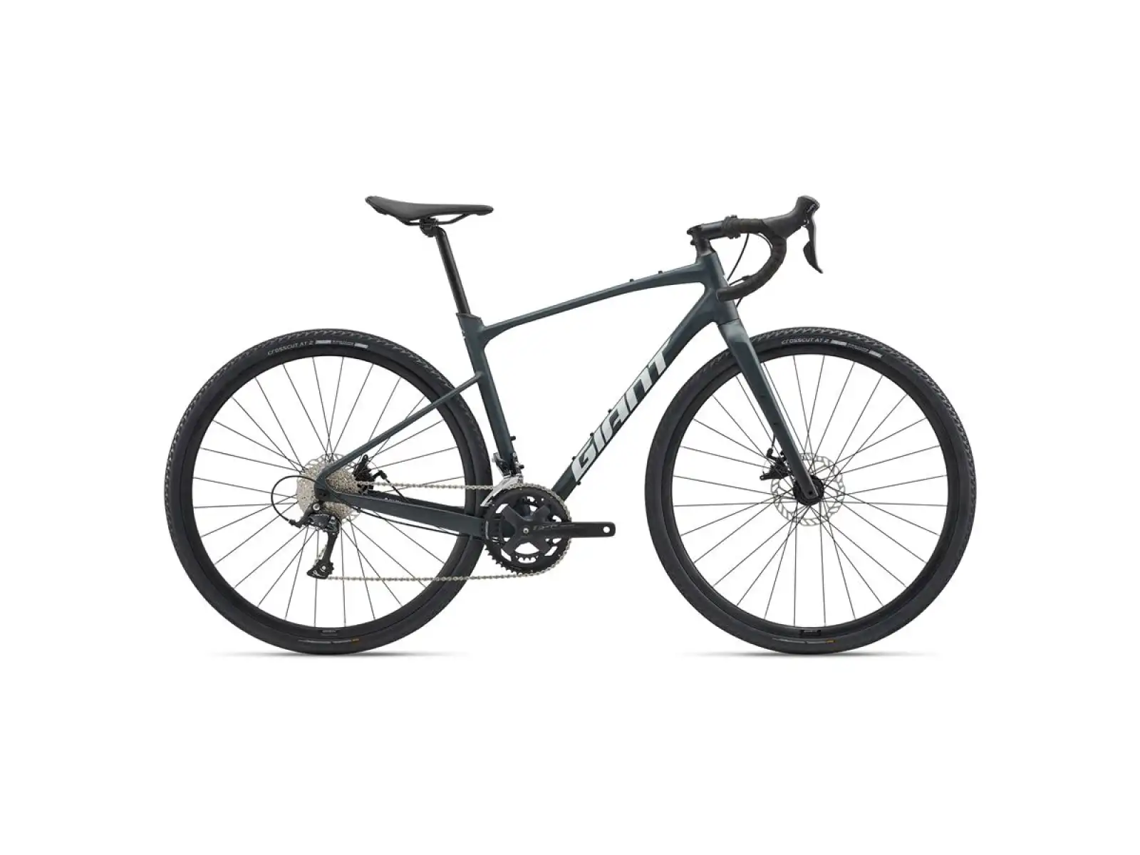 Giant Revolt 2 Gravel Fahrrad Asphalt Green