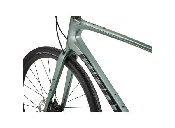 Giant FastRoad AR Advanced 2 Fitnessbike Nebelwald