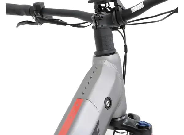 APACHE Rio Grande 1 MX 720 Wh Tiefeinsteiger E-Bike Anthrazit
