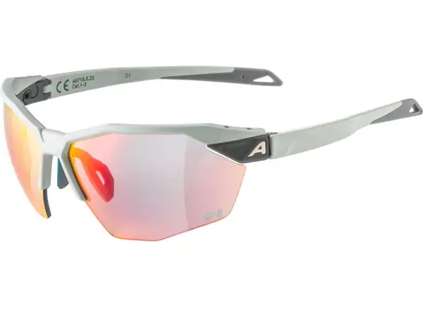 Alpina Twist Six HR QV Brille Smoke Grey Matt