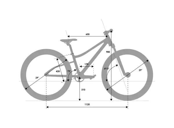 Rascal Wild 29 Kinderfahrrad Bronze