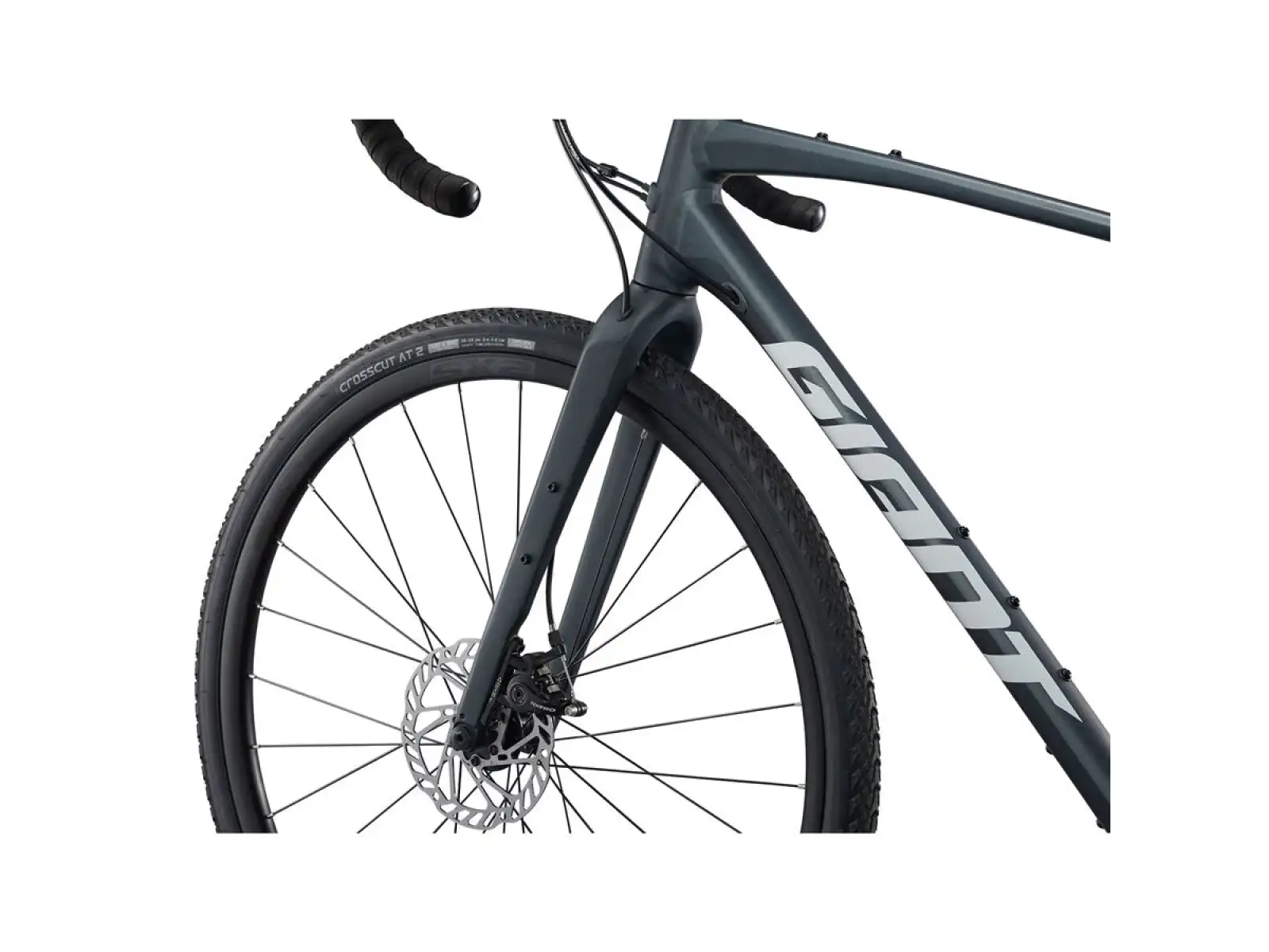 Giant Revolt 2 Gravel Fahrrad Asphalt Green