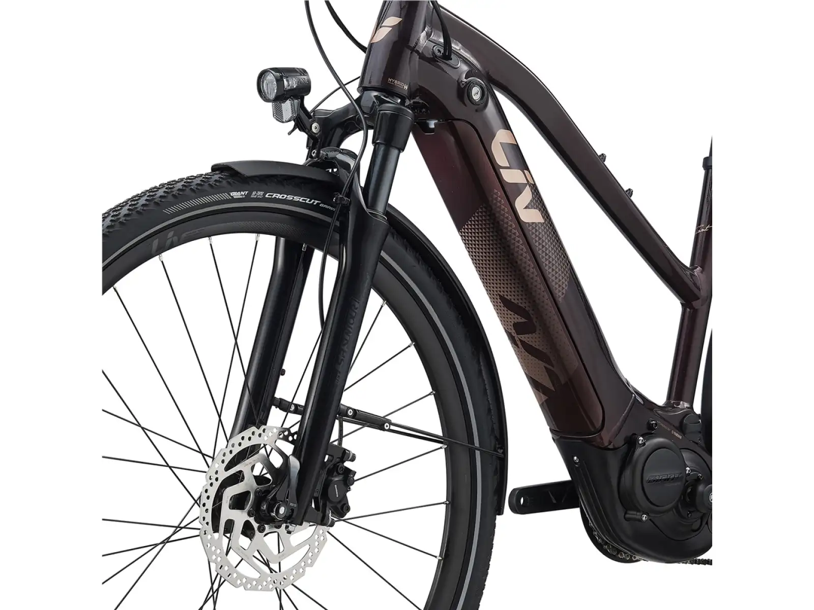 Liv Amiti E+2 Trekking E-Bike in Rosewood Color