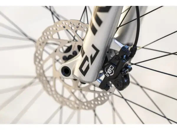 Rock Machine Riff 70s Schmutz Fahrrad Matte Grau