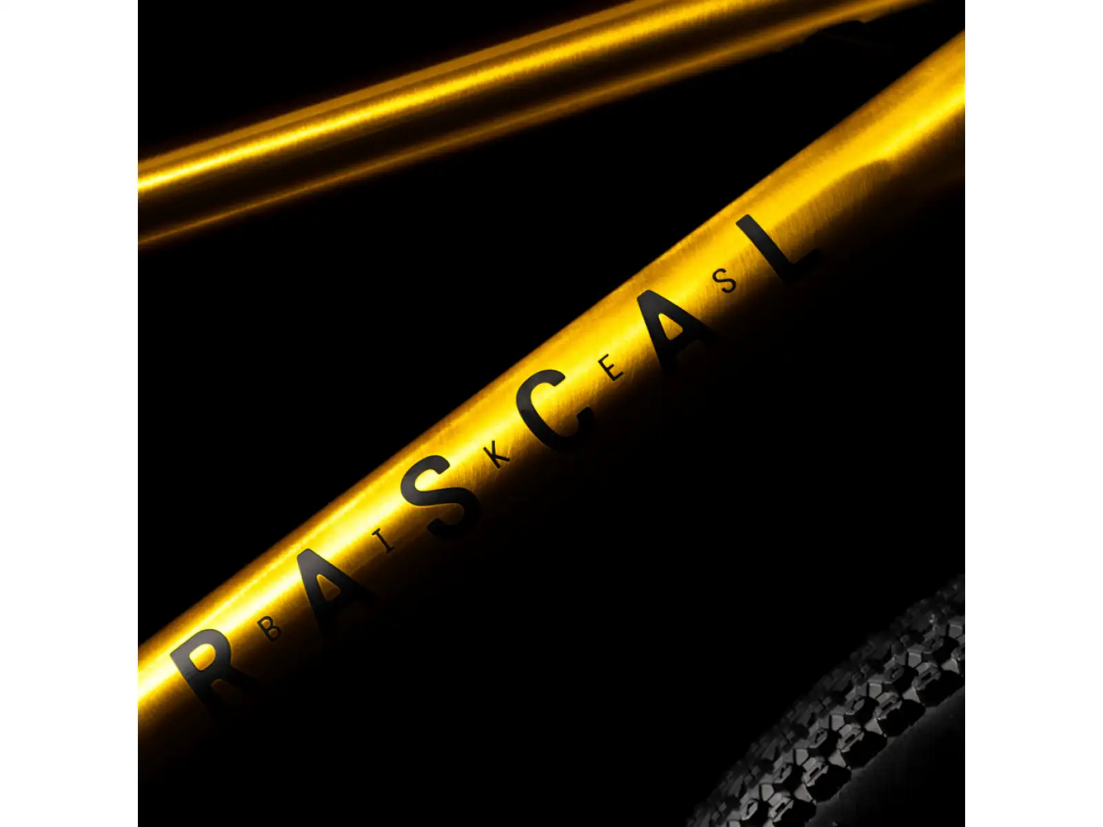 Rascal 20 Kinderfahrrad Gold