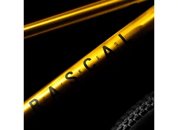 Rascal 20 Kinderfahrrad Gold