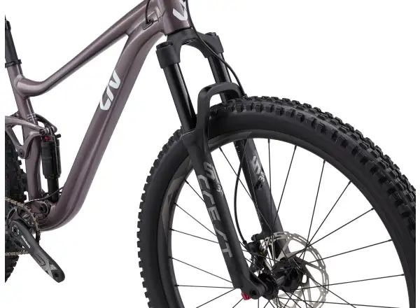 Liv Embolden 29 1 Damen-Mountainbike Charcoal Plum