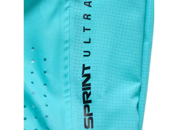 Troy Lee Designs Sprint Ultra Herren Hose Mono Real Teal
