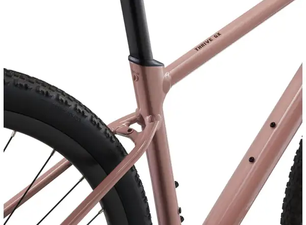 Liv Thrive GX Fitnessrad von Petra Clay.