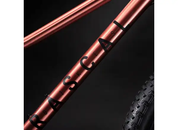 Rascal Wild 24 Kinderfahrrad Bronze