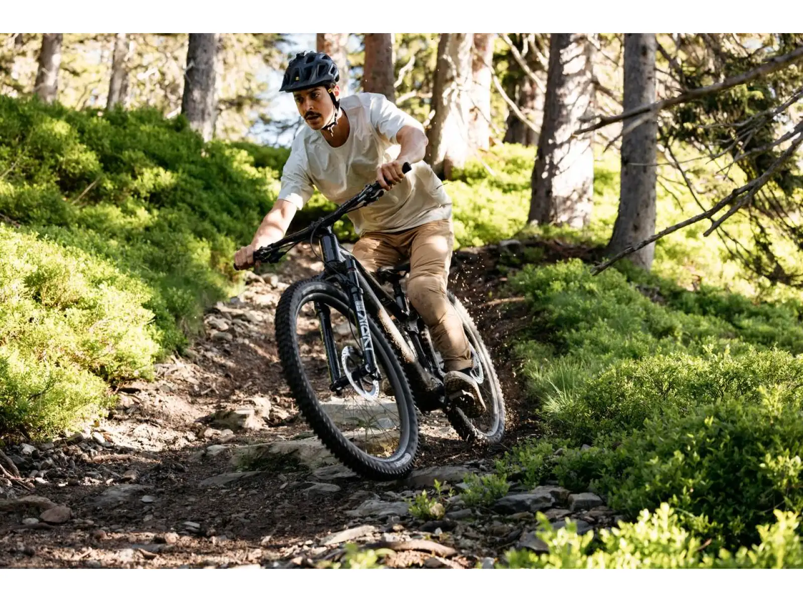 Raymon Airok vollgefedertes E-Bike Silver Stealth/Taupe