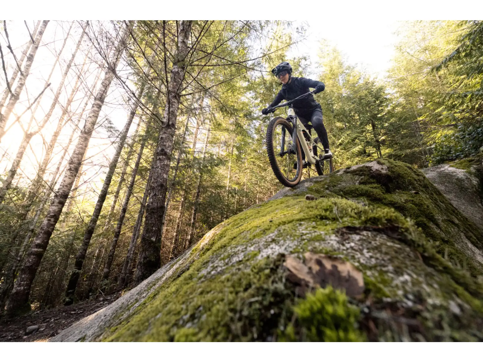Liv Embolden 2026 Mountainbike Pale Moss