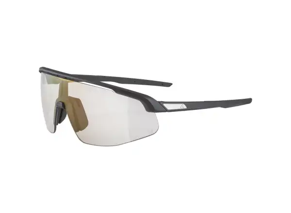 Alpina Turbo Pro V Brille Clear to Grey