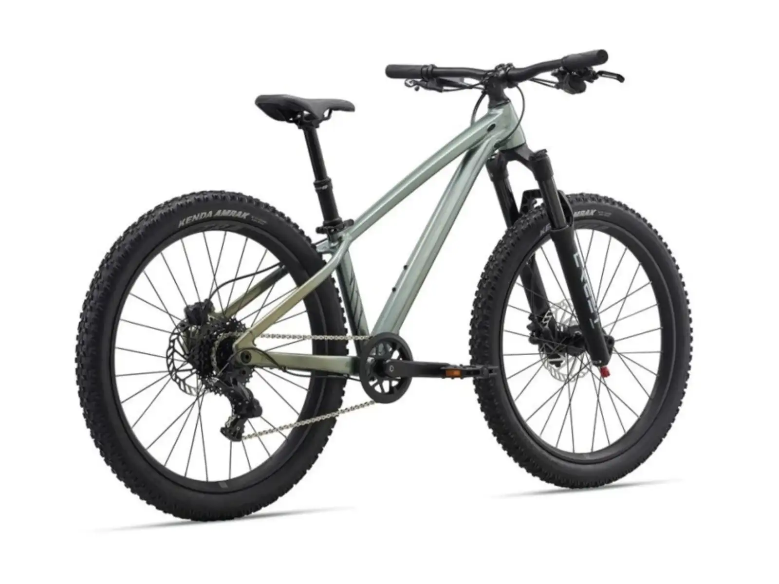 Liv STP 24 Kinder-Mountainbike Alpine Green