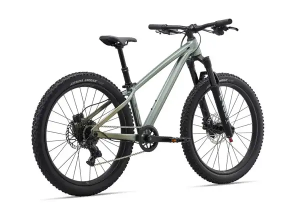 Liv STP 24 Kinder-Mountainbike Alpine Green