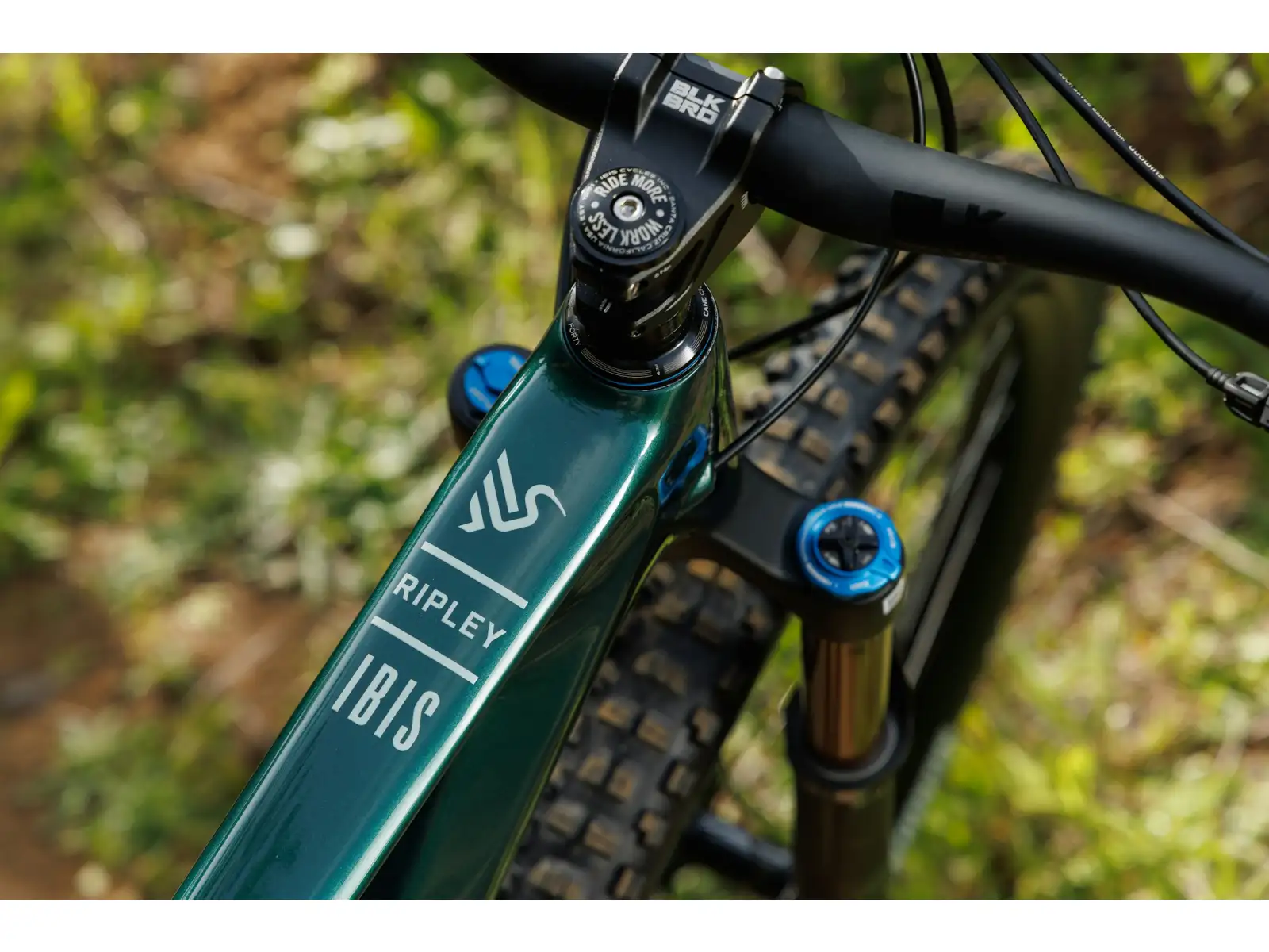Ibis Ripley V5 Deore Mountainbike Green Flash