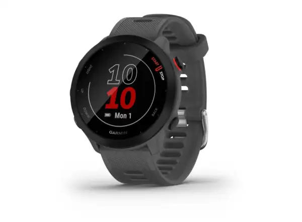 Garmin Forerunner 55 Smartwatch Grau