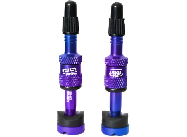 E-13 Quick Fill Tubeless-Ventile 23-31 mm 2 Stück Galaxienweit