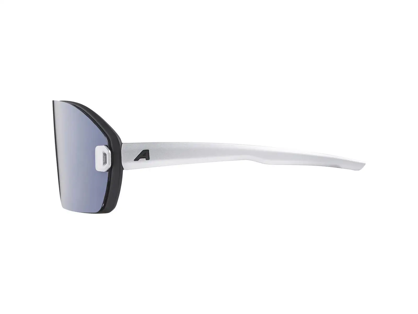 Alpina Bonfire Mag Q Brille Black Matt