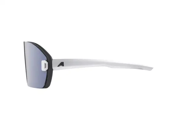 Alpina Bonfire Mag Q Brille Black Matt