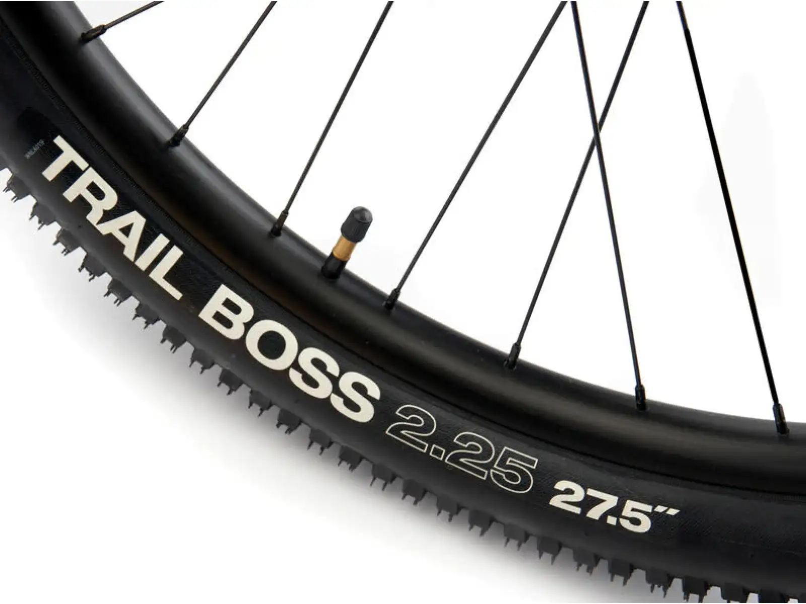 Kona 36e Fire Mountain Mountainbike Blue