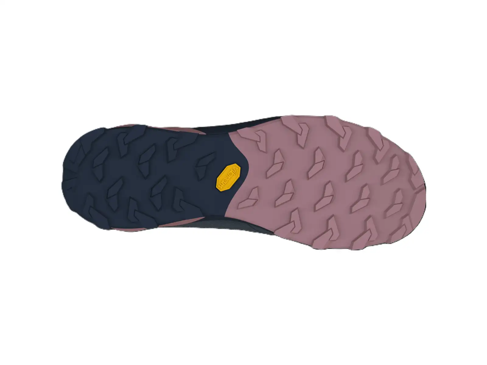Dynafit Transalper 2 GTX Damenlaufschuhe Blueberry/Fallen Rock