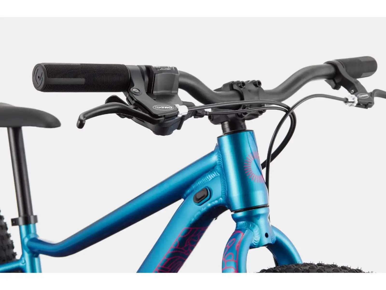 Cannondale Kids Trail Plus 24" Kinderfahrrad Deep Teal