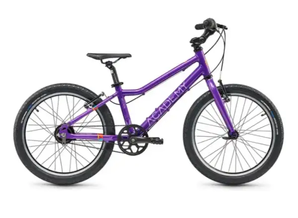 Academy Grade 4 Belt Kinderfahrrad 20" violett
