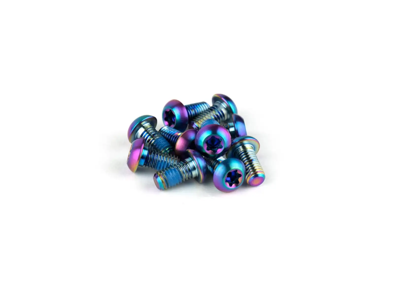 Sram Rotor Bolt Kit TI T25 Titanschrauben-Set zur Scheibenbefestigung 12 St.