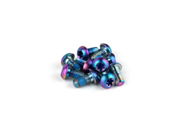 Sram Rotor Bolt Kit TI T25 Titanschrauben-Set zur Scheibenbefestigung 12 St.