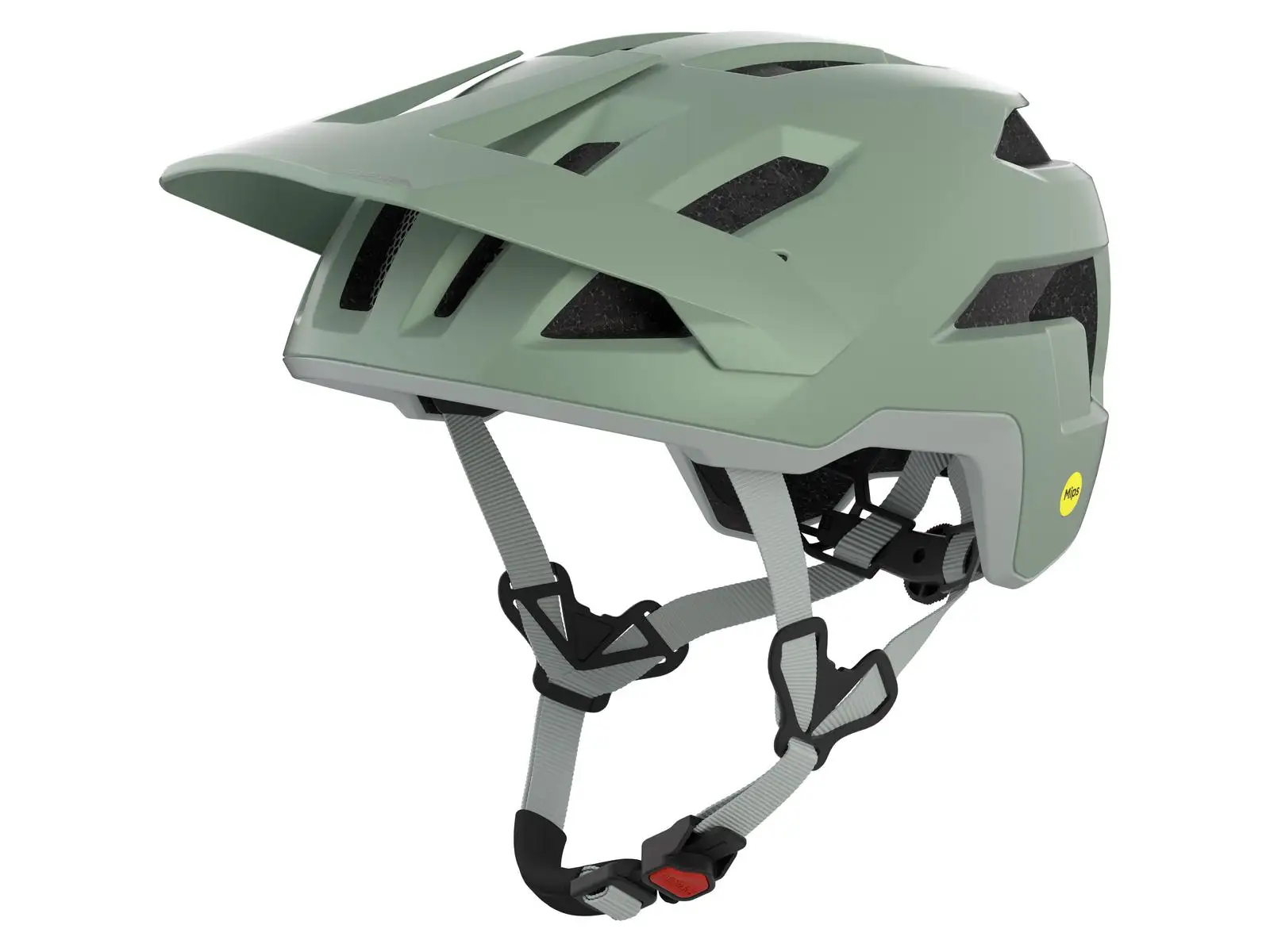 Alpina Taunus Mips Helm Willow/Green Matt