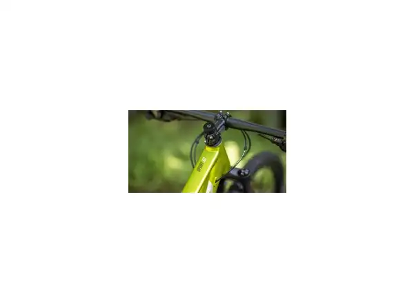 Superior XC 859 Matt Lime Metallic/Chrome Silver Mountainbike