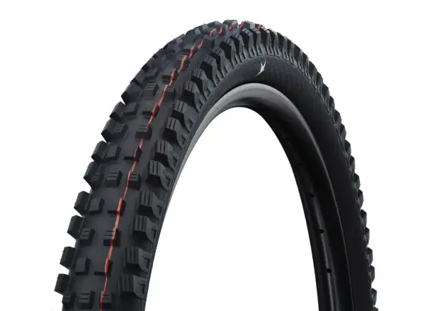 Schwalbe Magic Mary Trail TLR Reifen Kevlar