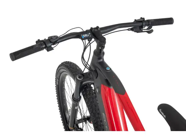 Ecobike RX 500 Elektro-Mountainbike 960 Wh Red