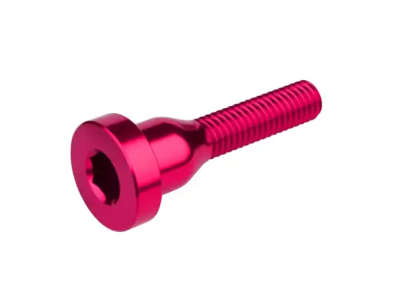 Burgtec Top Cap Schraube für Steuersatzkappe Pink