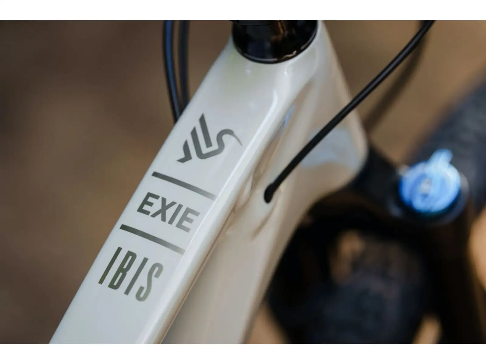 Ibis Exie V2 SLX 29" Mountainbike in Knochenfarbe.