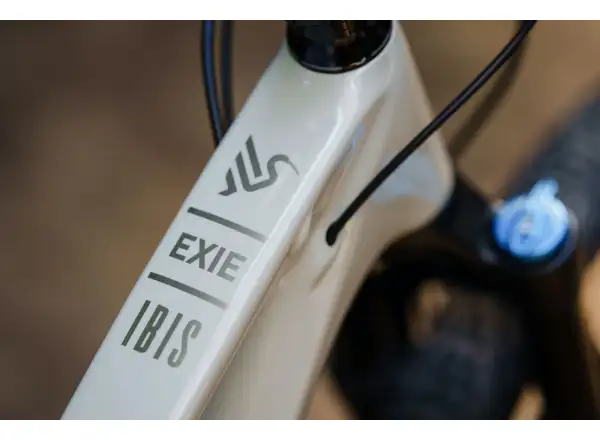 Ibis Exie V2 SLX 29" Mountainbike in Knochenfarbe.