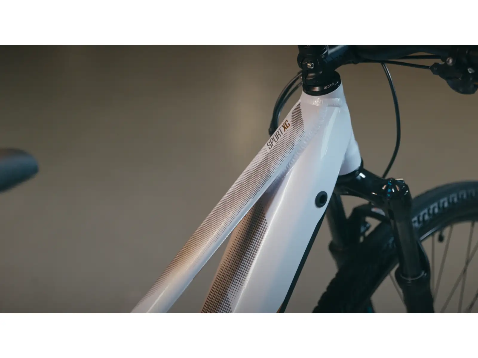 Superior eXC 7019 WB E-Mountainbike Gloss White/Copper