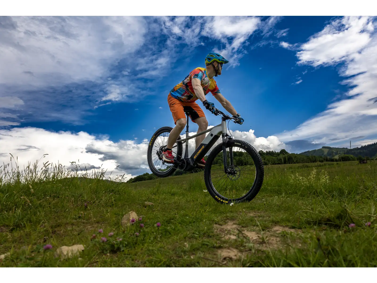 Ecobike Mauler 720 Wh Mountain E-Bike