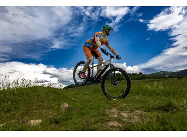 Ecobike Mauler 720 Wh Mountain E-Bike