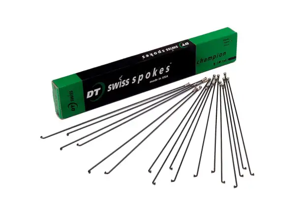 DT Swiss Champion Speiche 2,0 mm schwarz