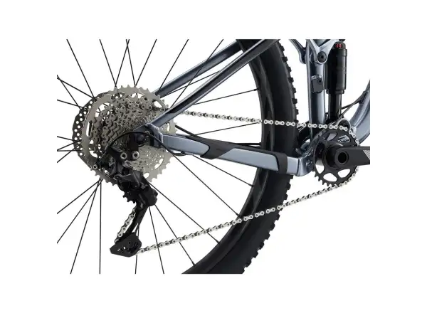 Giant Stance 29 2 mountain bike Ritterschild