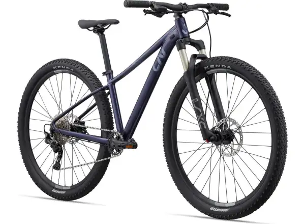 Liv Tempt 29 1 GE Mountainbike Milchstraße
