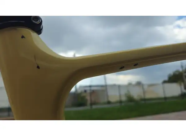 Cannondale Topstone Carbon 3 Gravel Fahrrad Butter Geprüft